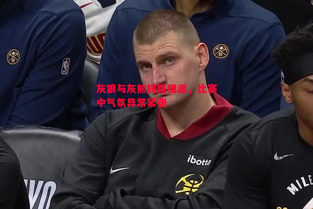英国威廉希尔-灰狼与灰熊狭路相逢，比赛中气氛异常紧张