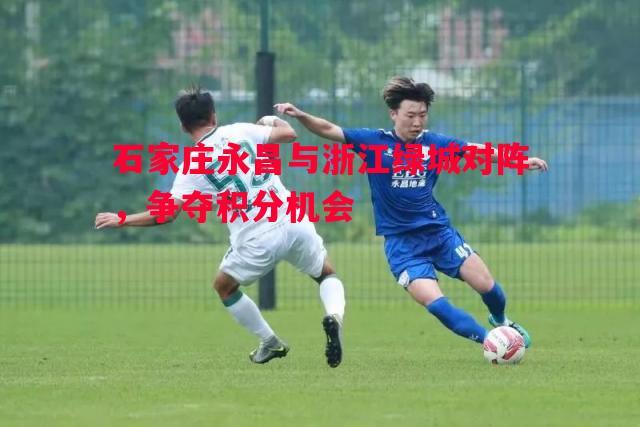 石家庄永昌与浙江绿城对阵，争夺积分机会