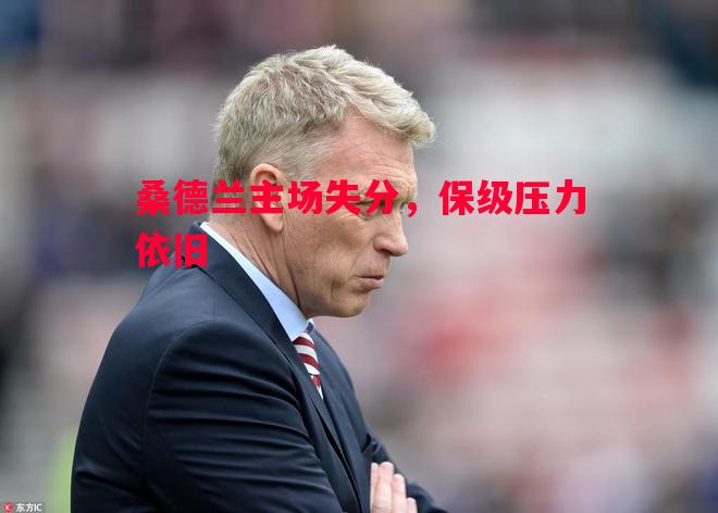 桑德兰主场失分,保级压力依旧 桑德兰主场失分,保级压力依旧